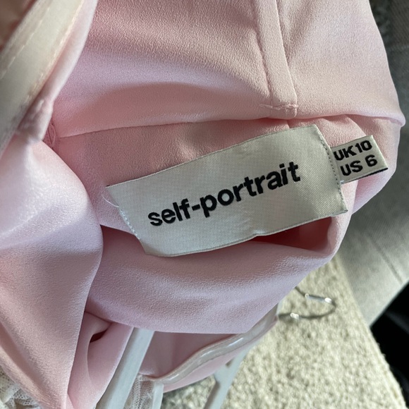 SELF-PORTRAIT | Pink Taffeta Dot Mesh Mini Dress - Picture 8 of 10